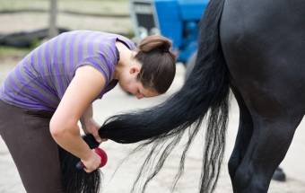 Products to detangle horse hair