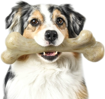 Treats and bones for dogs