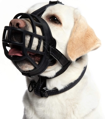 images/categorieimages/dog-muzzle.jpg