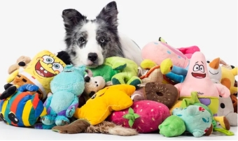 images/categorieimages/dog-toys.jpg