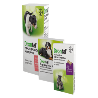 chemical dewormers for dogs