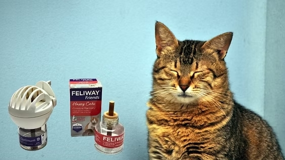 images/categorieimages/feliway.jpg