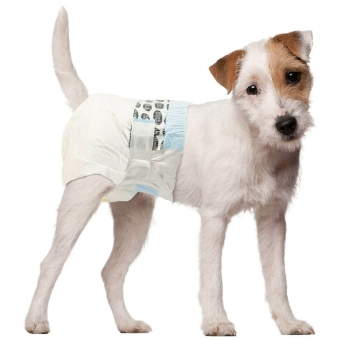 Diapers for female dogs