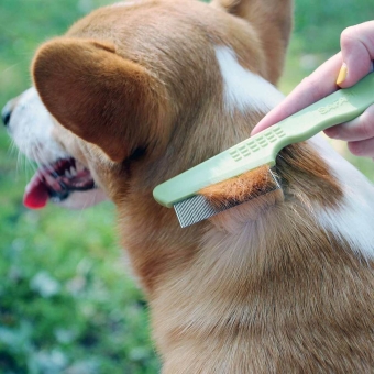 flea combs for dogs and cats