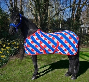 Rugs for Frisian horses