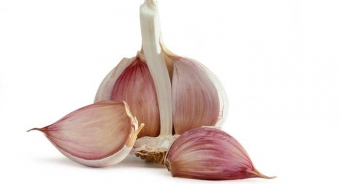 Garlic products for horses and dogs