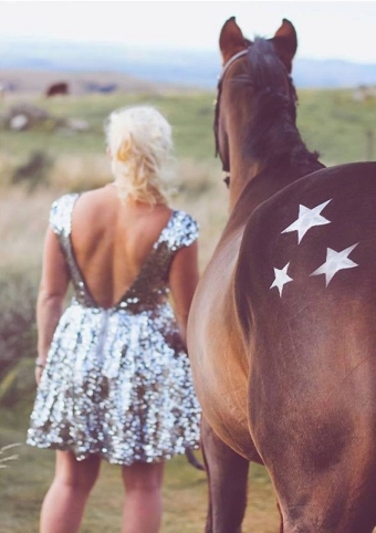 Glitter products to make your horse shine !
