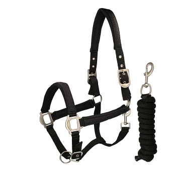 Halters for horses