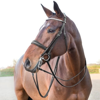 Bridles for horses