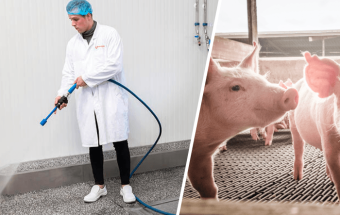 images/categorieimages/hygiene-pigs.png