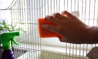 Products to clean and disinfect bird cages