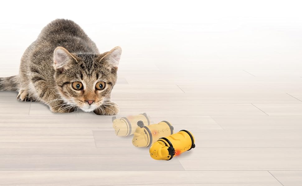 images/categorieimages/katten-speelgoed.jpg