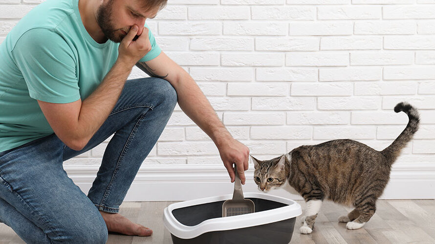 images/categorieimages/kattenbakgeurweg.jpg