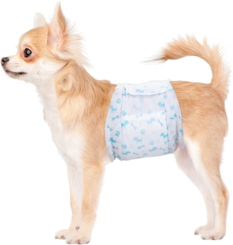 Diapers for male dogs