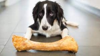 Hoofs, Legs & Meat Bones for dogs