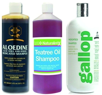shampoos for special cleaning