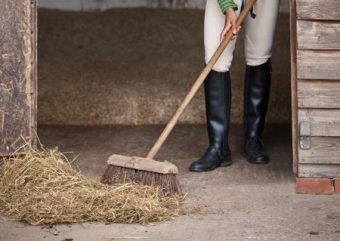 Products to clean the stable