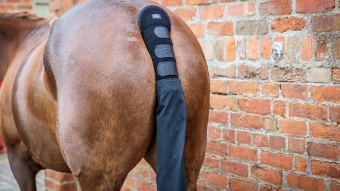 Products to protect the tails of horses