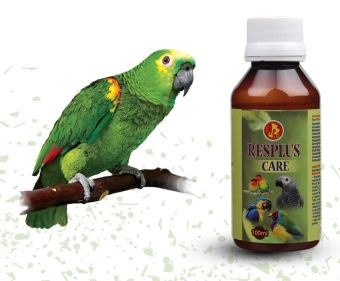 Vitamins & supplements for birds