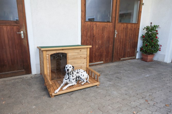 Kerbl Caseta para perros con terraza. 