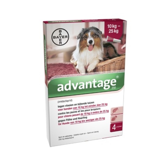 Bayer Advantage 250 (M) Hond. Tegen vlooien bij honden met een lichaamsgewicht van 10 tot 25 kg.
