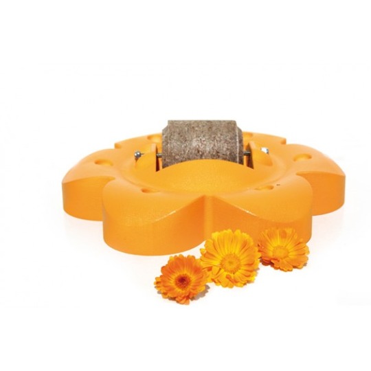 Officinalis Flower Orange. Lollyroll supporto + 1 Lollyroll leccare.