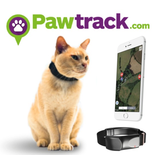 Paw Track GPS Kat Tracking halsband. De meest geavanceerde halsband om uw kat te traceren.