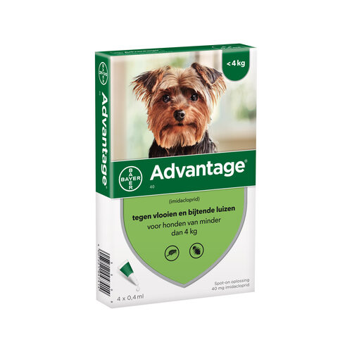 Bayer Advantage 40 (XS) Hond. Tegen vlooien bij honden met een lichaamsgewicht tot 4 kg.