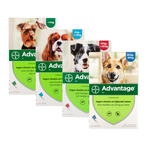Bayer Advantage Hond