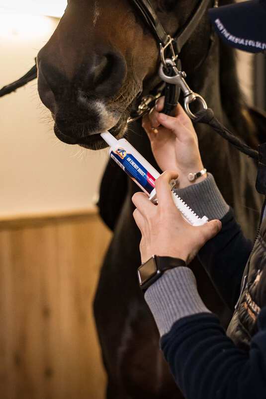Cavalor An Energy Boost 60ml.   Pour les chevaux de sport (de haut niveau), un mélange composite 'booster' d'électrolytes, de vitamines, de minéraux et d'acides aminés.