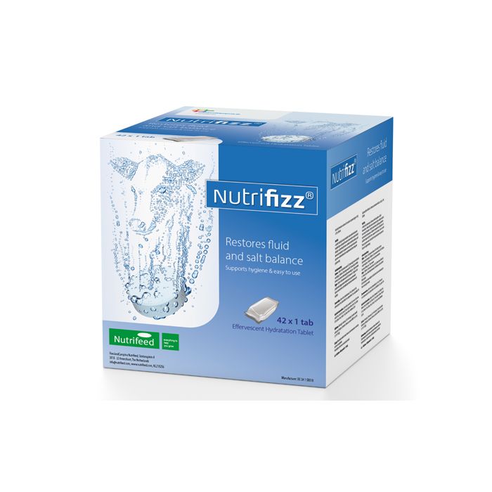 Nutrifizz Comprimé effervescent 42 x 1 comprimé. Garantit un équilibre hydrique et minéral correct.