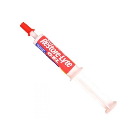 images/productimages/small/V_restore-lyte-gel-syringe-35g-pack-of-3-1621-p.jpg