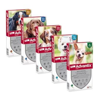 Advantix Dog. --- Contro pulci, zecche, mosche della sabbia e zanzare nei cani.
