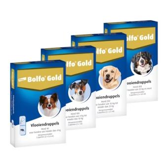 Bolfo Gold Hund. -- Anti-Flohmittel in Spot-on, für kleine & große Hunde, in 2 & 4 Pipetten.