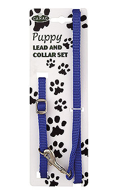 images/productimages/small/canacpuppy_lead_collar_blue.jpg
