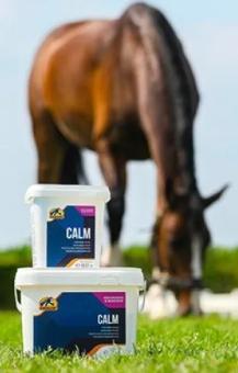 Cavalor Calm. --- Ha un effetto calmante e rilassante sui cavalli nervosi (giovani).