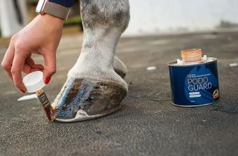 Cavalor Podoguard. --- Combinación de 2 aceites para un crecimiento, desarrollo y calidad óptimos.