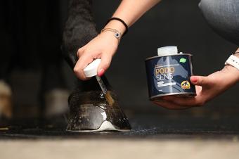 Cavalor PodoSens 500ml. --- Aceite terapéutico para cascos a base de aceites esenciales de clavo, abedul, lavanda y eucalipto.