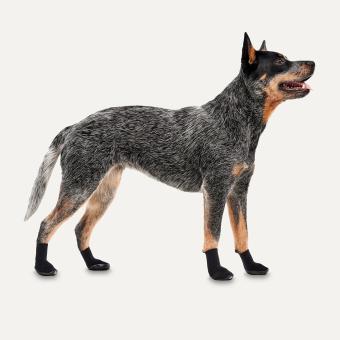 Goo-Eez Ultra dog shoe, black, 2 pieces, L -- Comfort and convenience protect your dog from rough terrain and extreme temperatures.