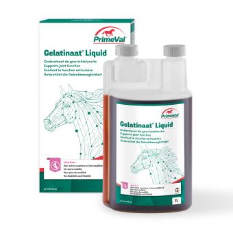 Primeval Gelatinate Flüssig Pferd 1ltr. --- Zur Unterstützung der Gelenkfunktion mit hoher Absorption in den Körper.