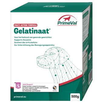 Primeval Gelatinate CHIEN. --- Pour maintenir des articulations saines et des os solides chez votre chien.
