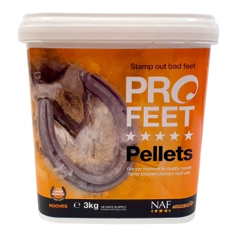 images/productimages/small/profeet-pellets-3kg-pot.jpg