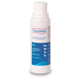 images/productimages/small/traumeelsgel250g11664voorweb.jpg