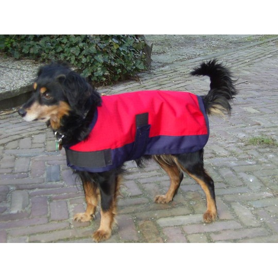 HB Classique Manteau pour les Chien.