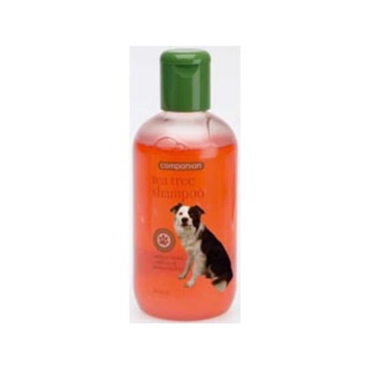 Companion Tea Tree Shampoo 250ml. Rijke shampoo met Tea Tree olie.