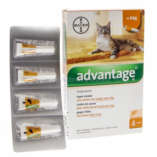 Advantage 40 Kat (S). Tegen vlooien, voor katten tot 4 kilo.