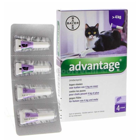 Advantage 80 Kat (M). Tegen vlooien, voor katten van 4 tot 8 kilo.