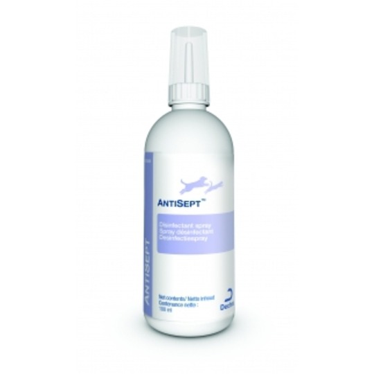 Dechra Antisept 100ml.