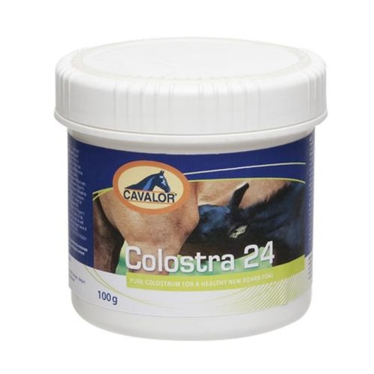 Cavalor Colostra 24. Colostrum est d'une importance capitale chez le poulain nouveau-né.