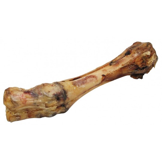 Kalbsknochen 26cm. Luft getrocknetes Knochen für Ihren Hund.